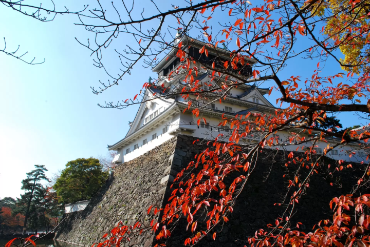 A 3-Night, 4-Day Kyushu Road Trip Course and Tips for Budget Driving!