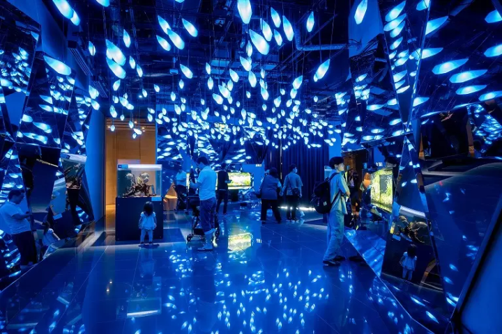 ▲In “CAVE/Cave of the Beginning”, tropical fish such as guppy and piranha are on display.