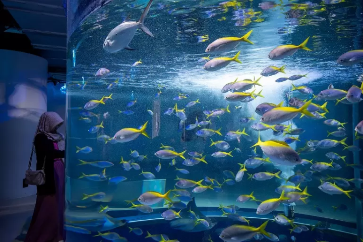 ▲Mega Cylinder, which is located in ”MARINE NOTE/The Fluctuation of Life”, is the biggest water tank in átoa. It is a cylindrical shaped water tank 5 meters in diameter.