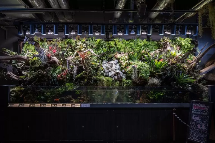 Experiencing in Kobe, an artistic port town. “átoa”, a unique fusion of aquarium and art