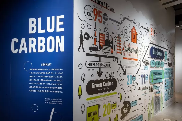 Experiencing in Kobe, an artistic port town. “átoa”, a unique fusion of aquarium and art