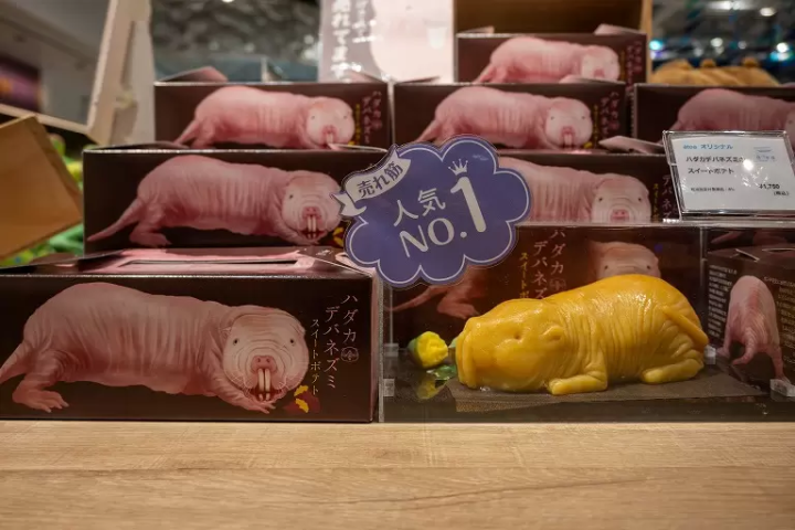 ▲Sweet potato in the shape of naked mole rat are reproduced very realistically, with every single wrinkle. Try comparing them with the actual one in zone “ELEMENTS/The Forest of Spirits”.