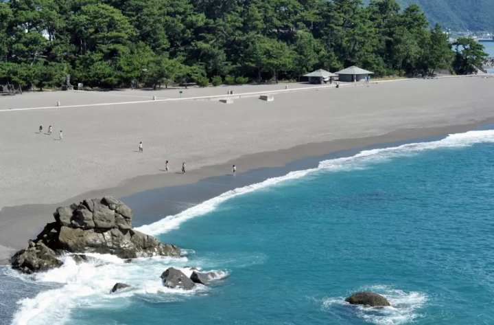 [Kochi Prefecture] Recommended for those who want to enjoy their trip to the fullest! Ranking of popular rental car locations in Kochi Prefecture!