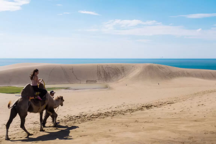 [2 ชั่วโมงครึ่งจากโอซาก้า! ] หากคุณต้องการเพลิดเพลินไปกับทตโตริอย่างเต็มที่ เราขอแนะนำแกลมปิ้ง!