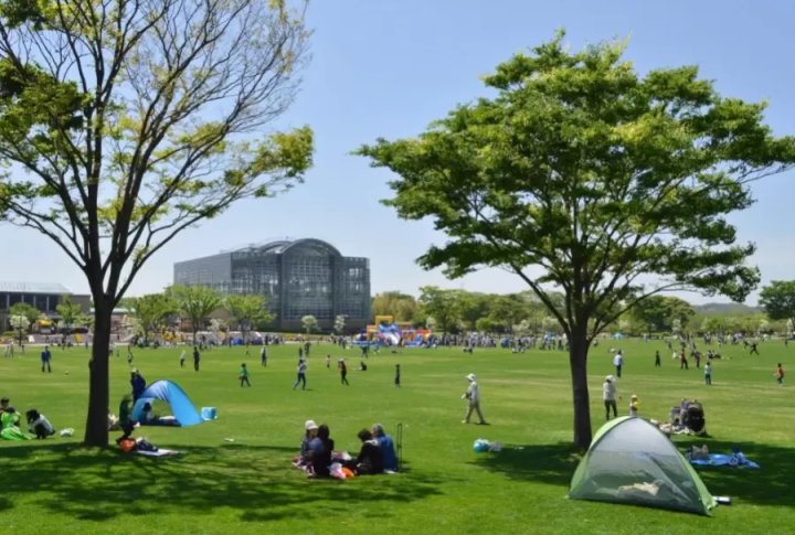 A 3-Night, 4-Day Kyushu Road Trip Course and Tips for Budget Driving!