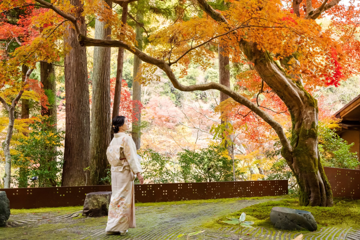 Enjoy the Autumn Leaves in Kyoto! 4 Hoshino Resorts Hotels to Choose From