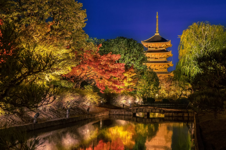 Enjoy the Autumn Leaves in Kyoto! 4 Hoshino Resorts Hotels to Choose From