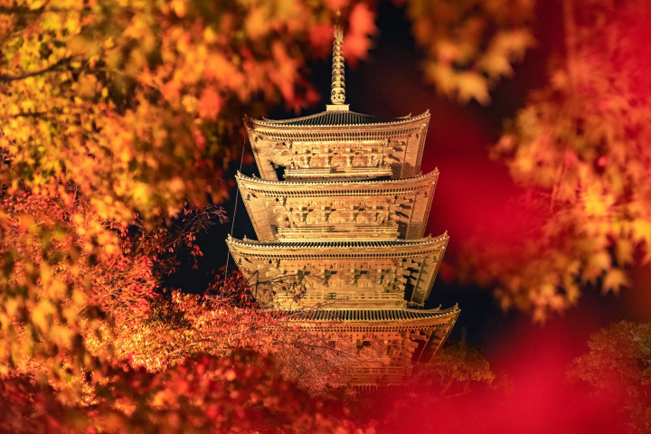 Enjoy the Autumn Leaves in Kyoto! 4 Hoshino Resorts Hotels to Choose From