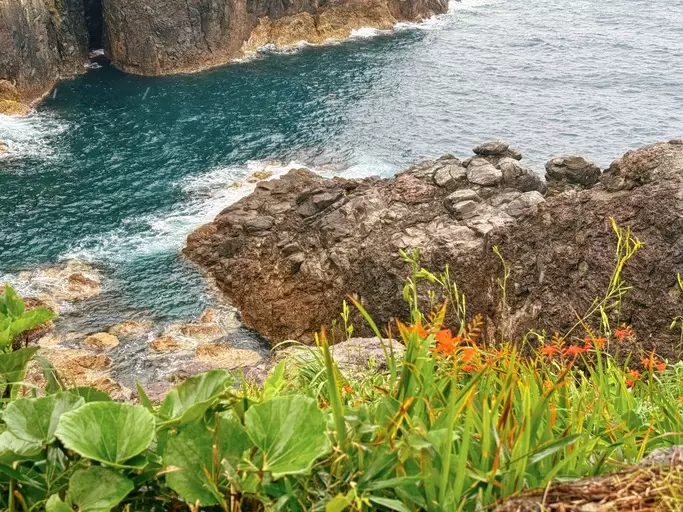 在岡見公園,因為周圍的花四季都會增添色彩,所以一年四季都非常鮮豔 