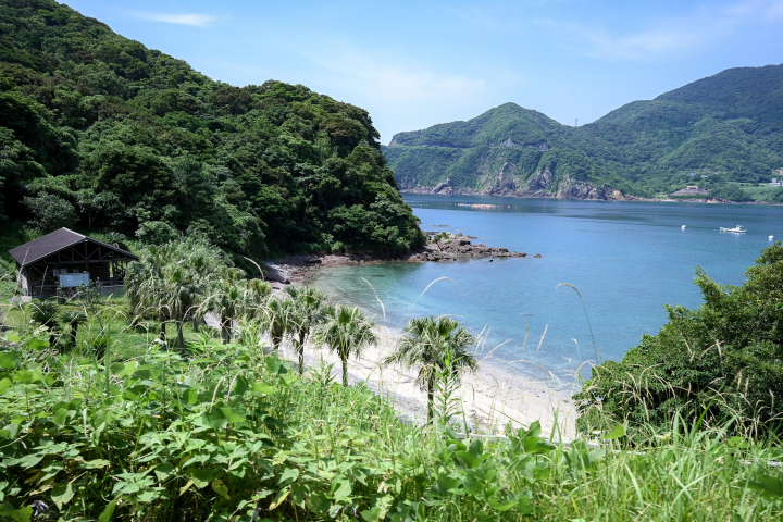 南萨摩市位于鹿儿岛的哪里？