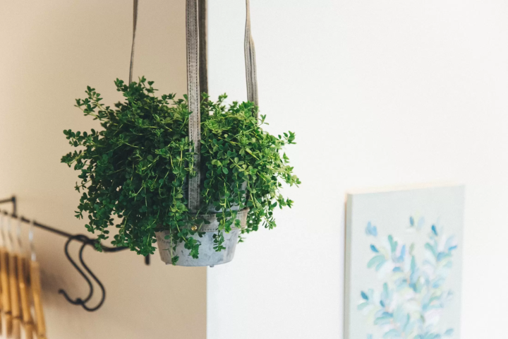 【大阪】中之岛公园、中央公会堂等景点众多！中之岛散步指南