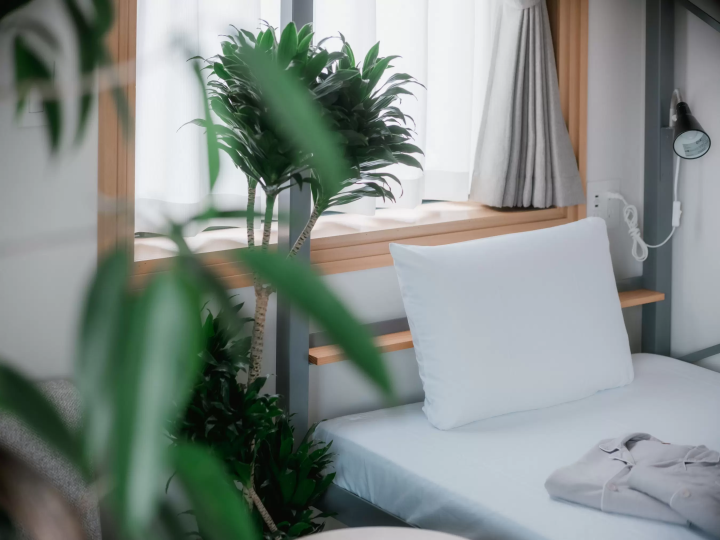 【大阪】中之岛公园、中央公会堂等景点众多！中之岛散步指南