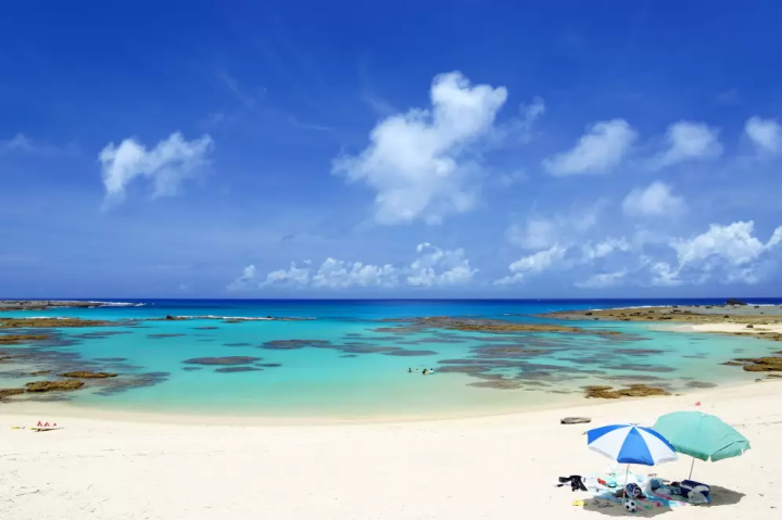 [Kagoshima Prefecture] Tips for choosing a rental car! We've got all the rental locations you need to enjoy sightseeing in Kagoshima Prefecture even more!