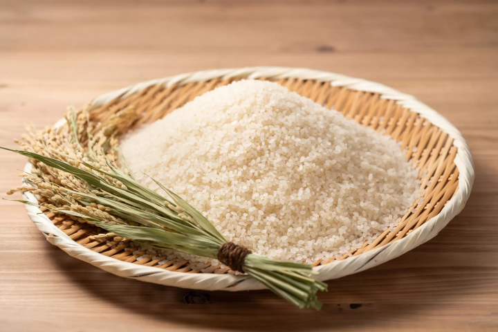 【日本の秋】9月〜11月の気温や観光できるもの、適した服装