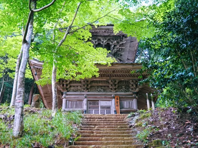 探索城崎温泉丰富的历史和魅力