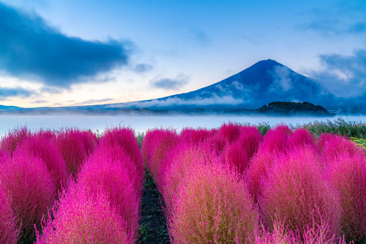 【日本の秋】9月〜11月の気温や観光できるもの、適した服装