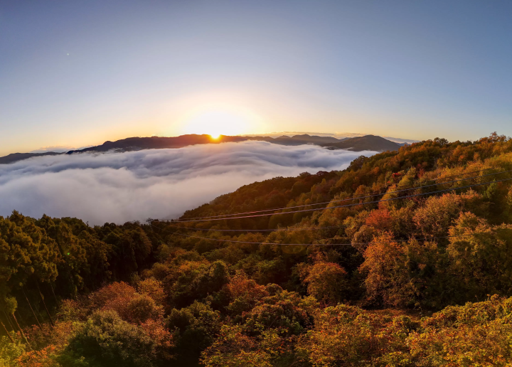 [Updated for 2024] Introducing all the recommended tourist spots on Saitama Prefecture's local line, Chichibu Railway!