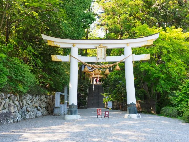 [Updated for 2024] Introducing all the recommended tourist spots on Saitama Prefecture's local line, Chichibu Railway!