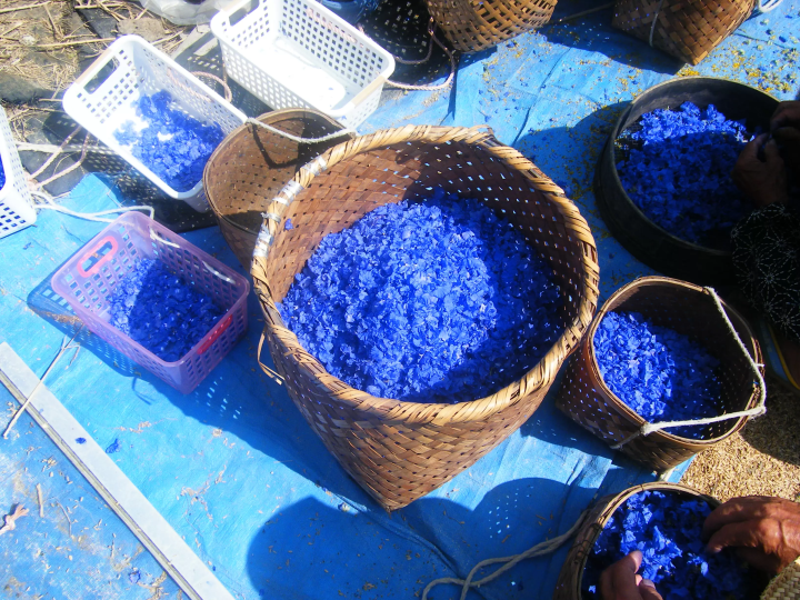 Save the Flowers of Hell! Experience the passion of a young challenger