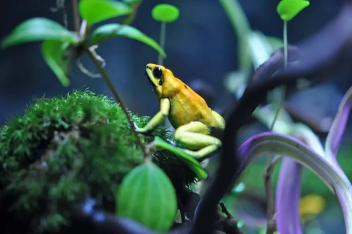 陽光水族館特別展