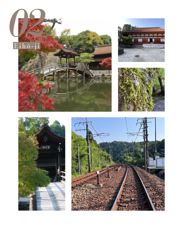 米其林绿色指南二星级“神户窑”的绘画体验和国际陶瓷节美浓’24 x 美浓烧的新“陶器”项目