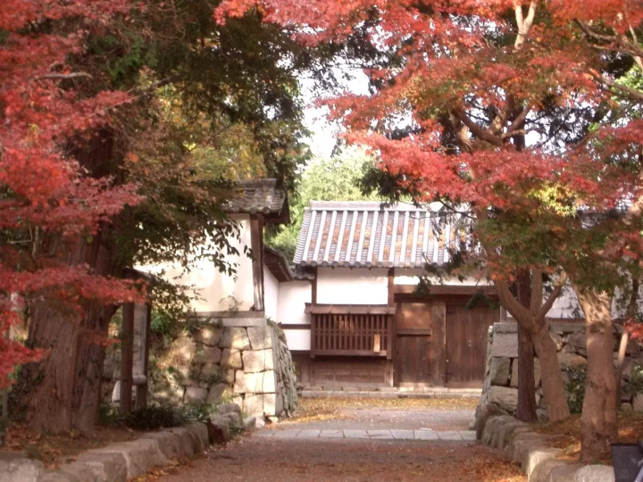 日本遺産に認定された「芦浦観音寺」ってどんなところ?