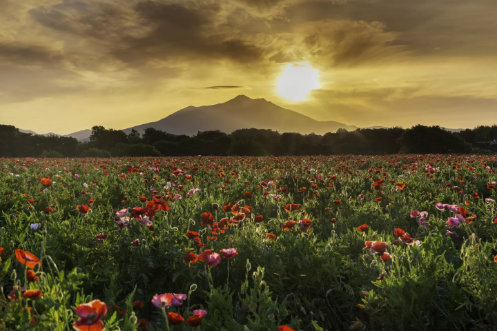 15 Famous Mountains in Japan: Highlights and Climbing Tips