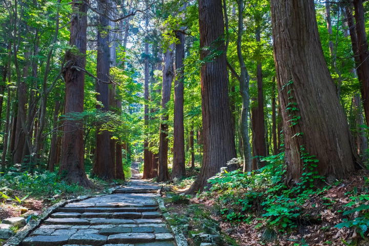 15 Famous Mountains in Japan: Highlights and Climbing Tips