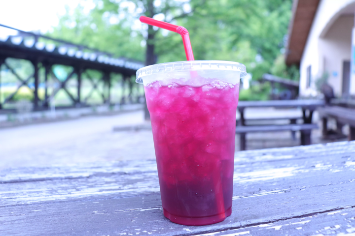 【天橋立から１時間】京都北部を堪能できる 丹後王国「食のみやこ」の魅力をご紹介！