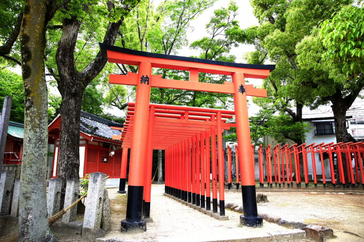 [From Eeyan ! Osaka Shopping Street]“能势街道”带回人们来往的街道的怀旧气息