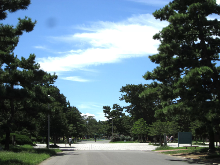 [From Eeyan ! Osaka Shopping Street]在“滨寺公园”，在花的色彩和大地的宁静中深呼吸