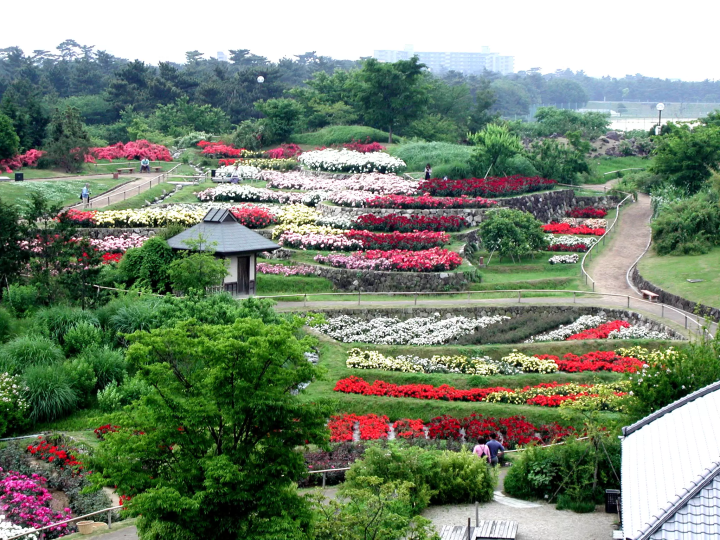 [From Eeyan ! Osaka Shopping Street]在“滨寺公园”，在花的色彩和大地的宁静中深呼吸