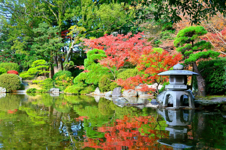 Fukuoka: Top 8 Fall Foliage Spots in 2024