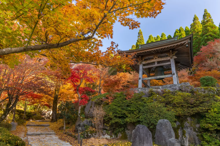 Fukuoka: Top 8 Fall Foliage Spots in 2024