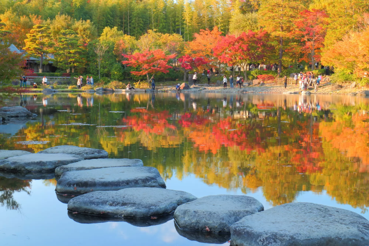 Tokyo's Fall Foliage