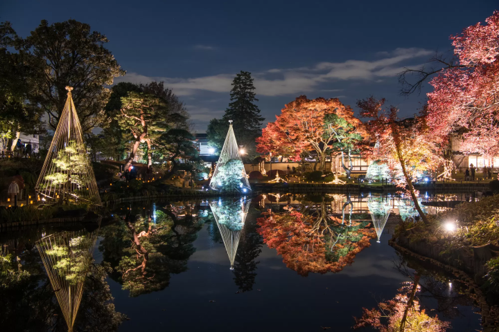 Tokyo's Fall Foliage: Higo-Hosokawa Garden