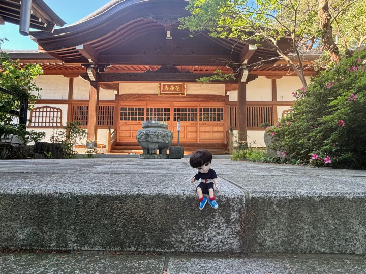 （中野本藤藤美） 