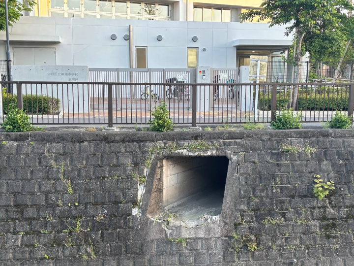 （從妙正寺川眺望美鳩小學西門） 