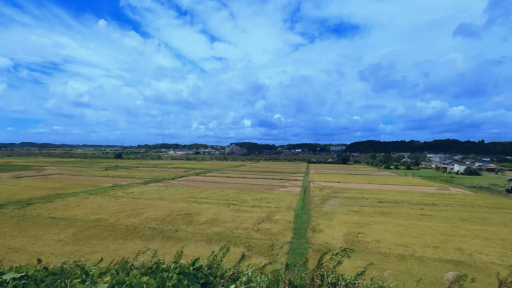 【2024年9月開始】成田空港発！日本文化体験ツアー ～田舎のサイクリング編～