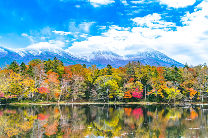 Hokkaido: Top 10 Fall Foliage Spots