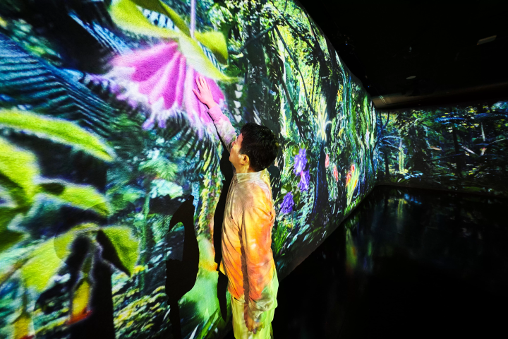 싱가포르의 국립 공원 가든스 바이 더 베이와 NAKED, INC. 가 첫 콜라보레이션! 프로젝션 매핑 전 「The Hidden Forest」개최 중