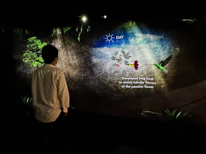 싱가포르의 국립 공원 가든스 바이 더 베이와 NAKED, INC. 가 첫 콜라보레이션! 프로젝션 매핑 전 「The Hidden Forest」개최 중