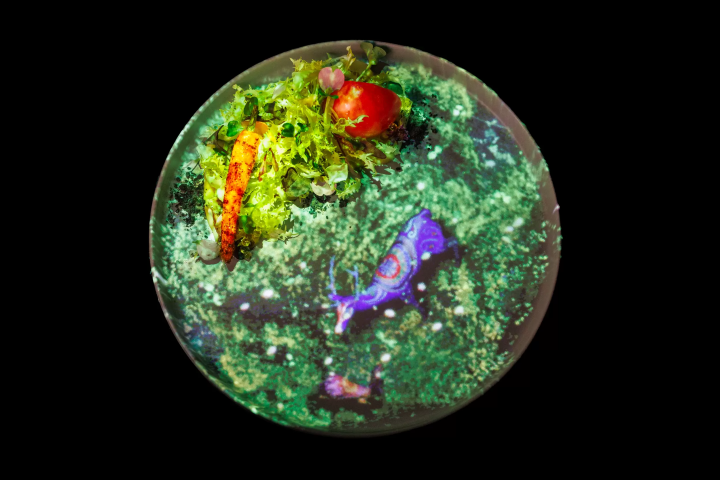 풀코스와 디지털 아트가 융합하는, TREE by NAKED yoyogi park의 「먹는 아트 체험」