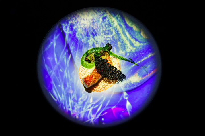 풀코스와 디지털 아트가 융합하는, TREE by NAKED yoyogi park의 「먹는 아트 체험」