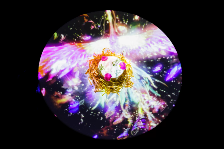 풀코스와 디지털 아트가 융합하는, TREE by NAKED yoyogi park의 「먹는 아트 체험」