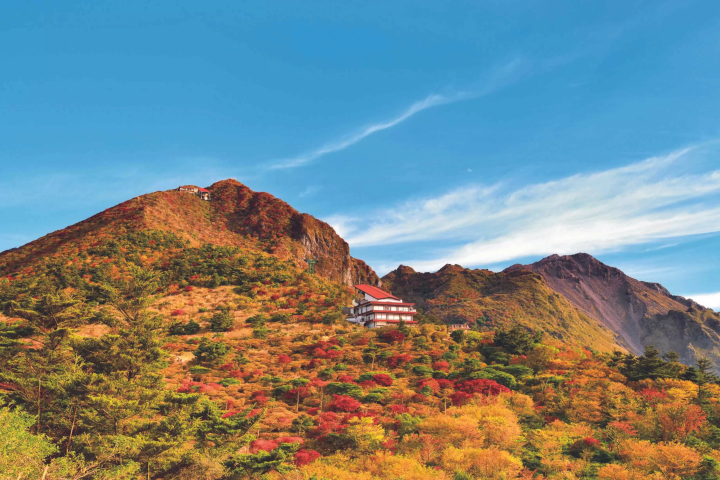 [長崎/雲仙]享受秋天的味道和紅葉！松茸、鮑魚、龍蝦、長崎牛豪華全套套餐的“秋富計劃”