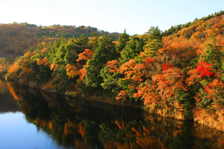 【2024年】東京近郊賞楓精選5個景點(奥多摩、高尾山、三溪園、中津峽)