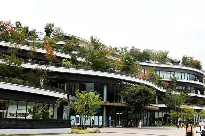 午餐可以享用熊本红牛肉的餐厅（熊本市版）