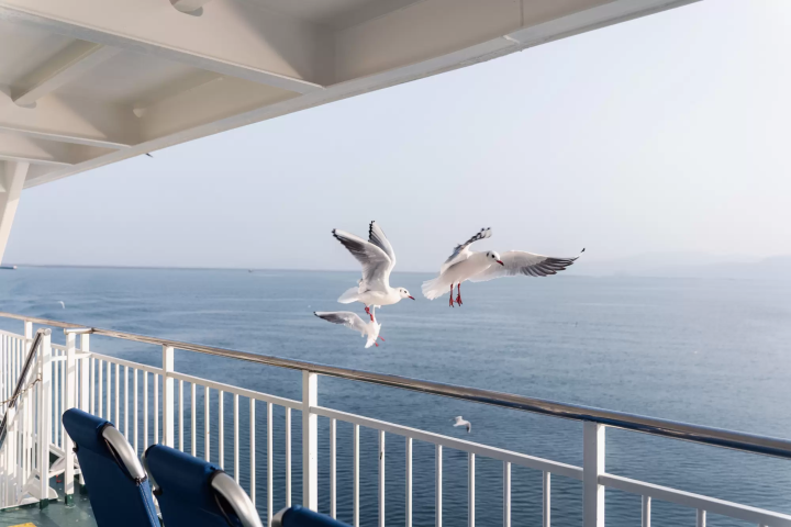 【2024最新】熊本魅力再發現！必去美食觀光景點30選、交通、台積電工廠、熊本腔一次掌握