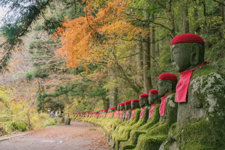 日光紅葉展現日本最佳景色